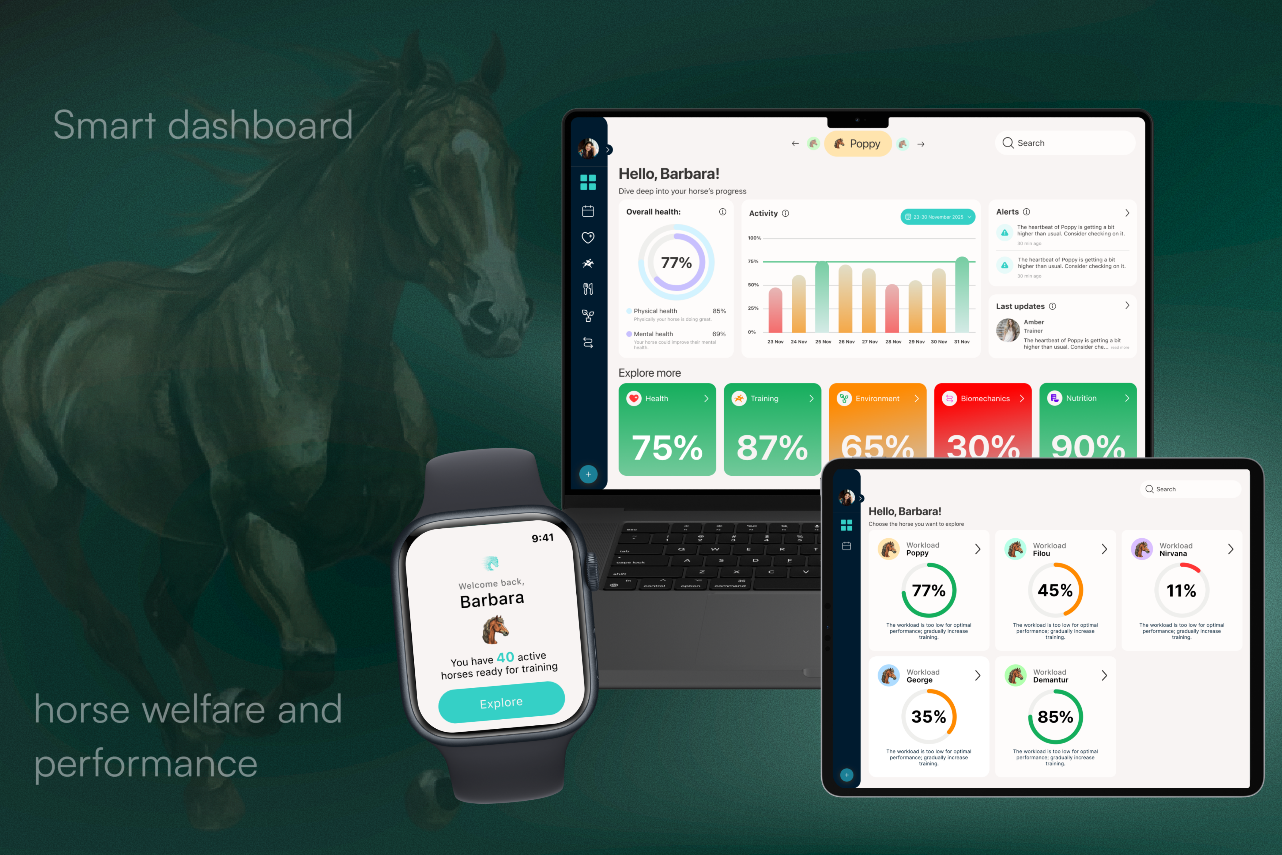 Equine Integartion